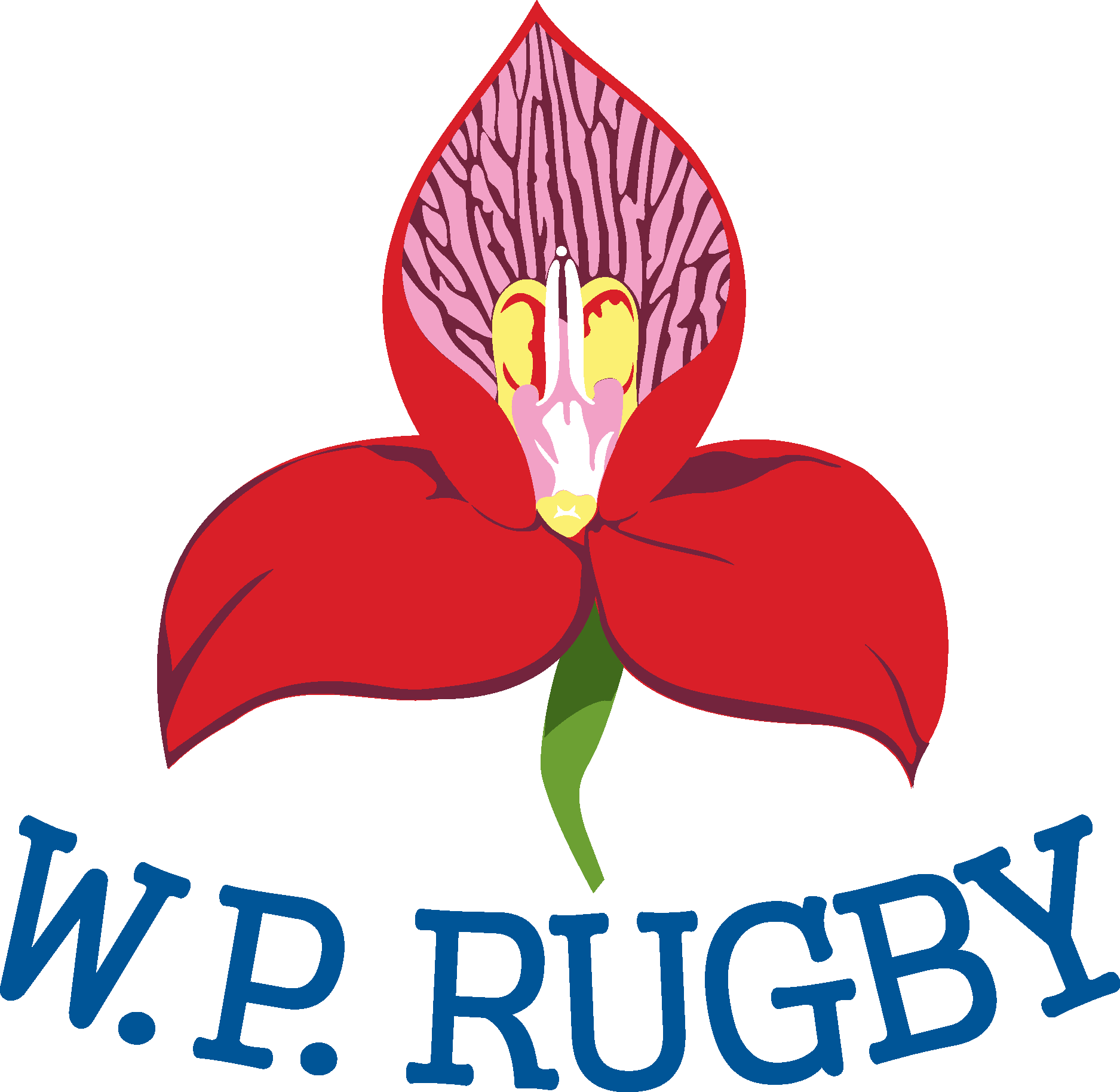 Western Province (WP Rugby) Logo Vector Logo